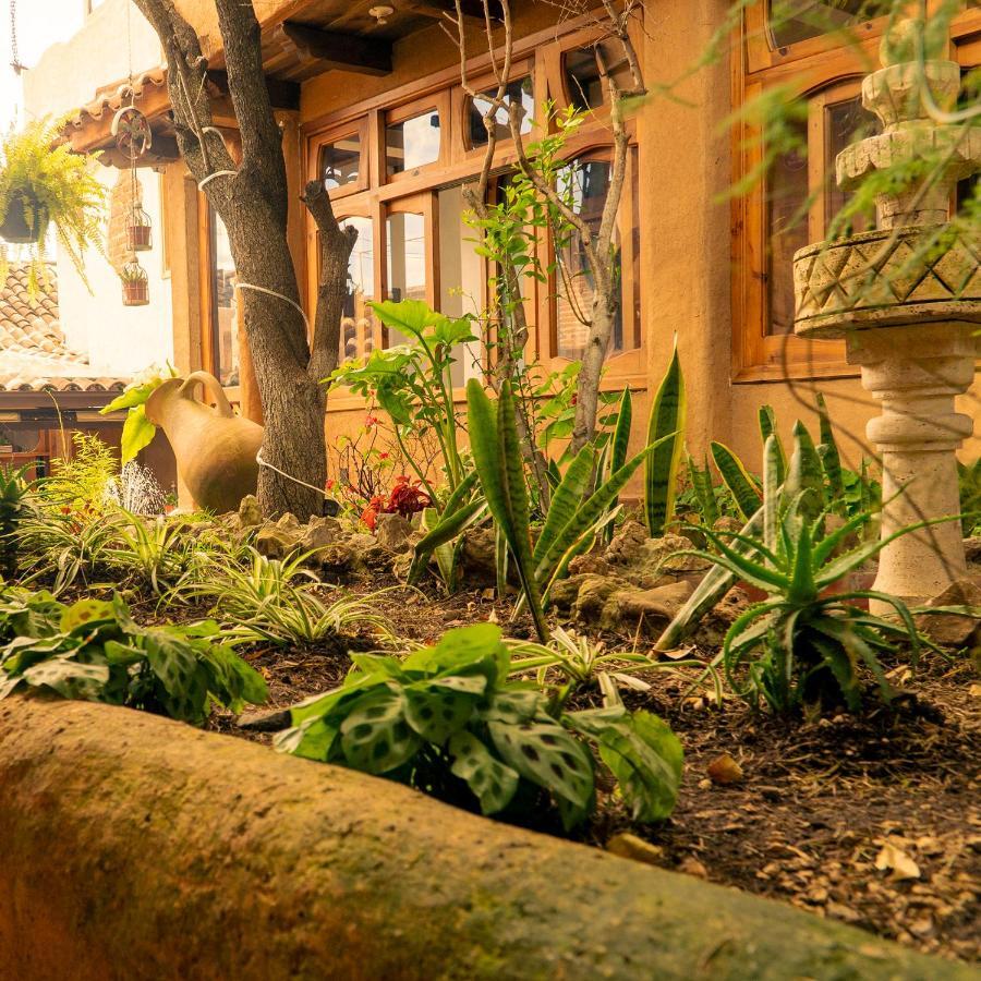 Hospedaje Boutique Paz Creativa San Cristóbal de Las Casas 外观 照片