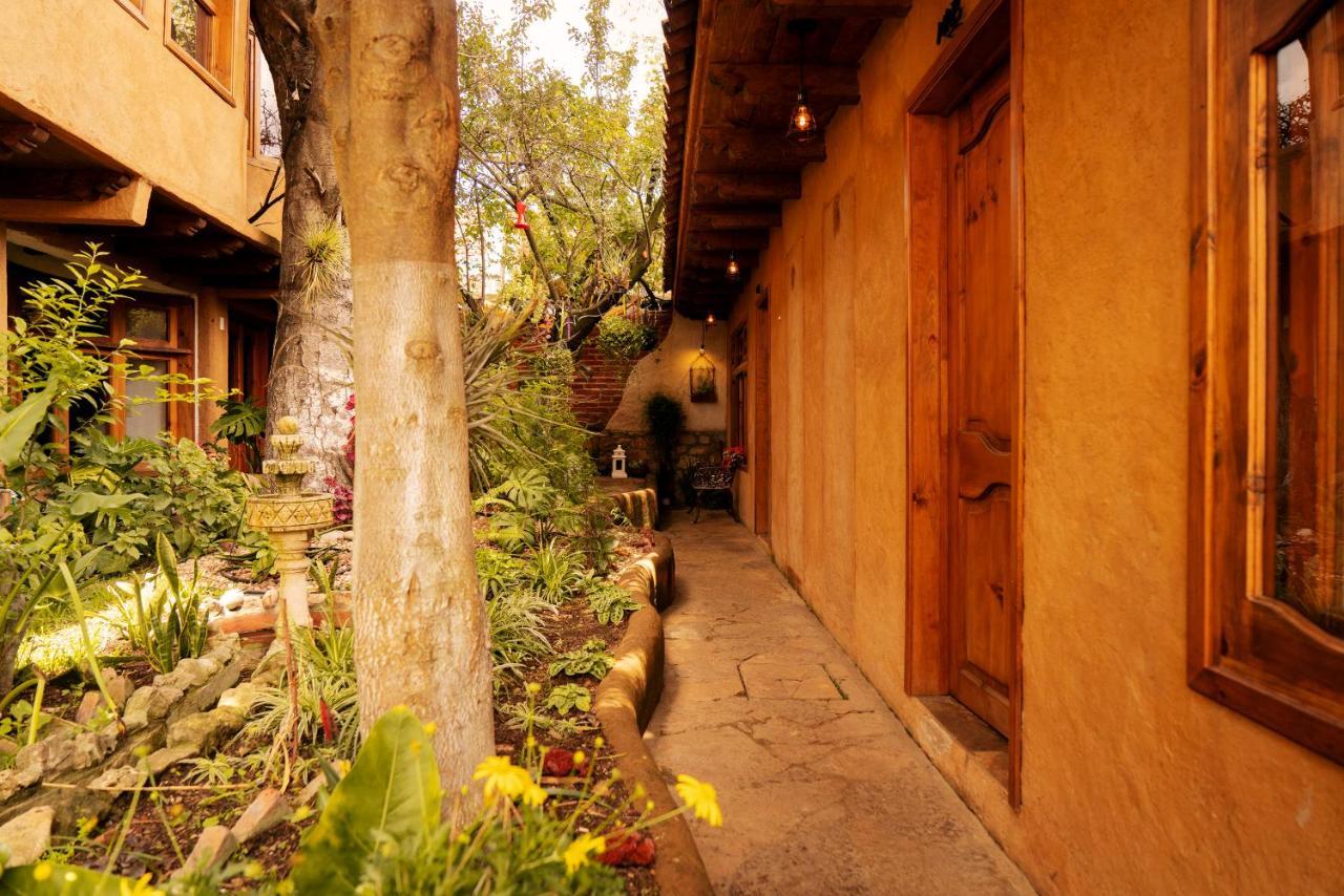 Hospedaje Boutique Paz Creativa San Cristóbal de Las Casas 外观 照片
