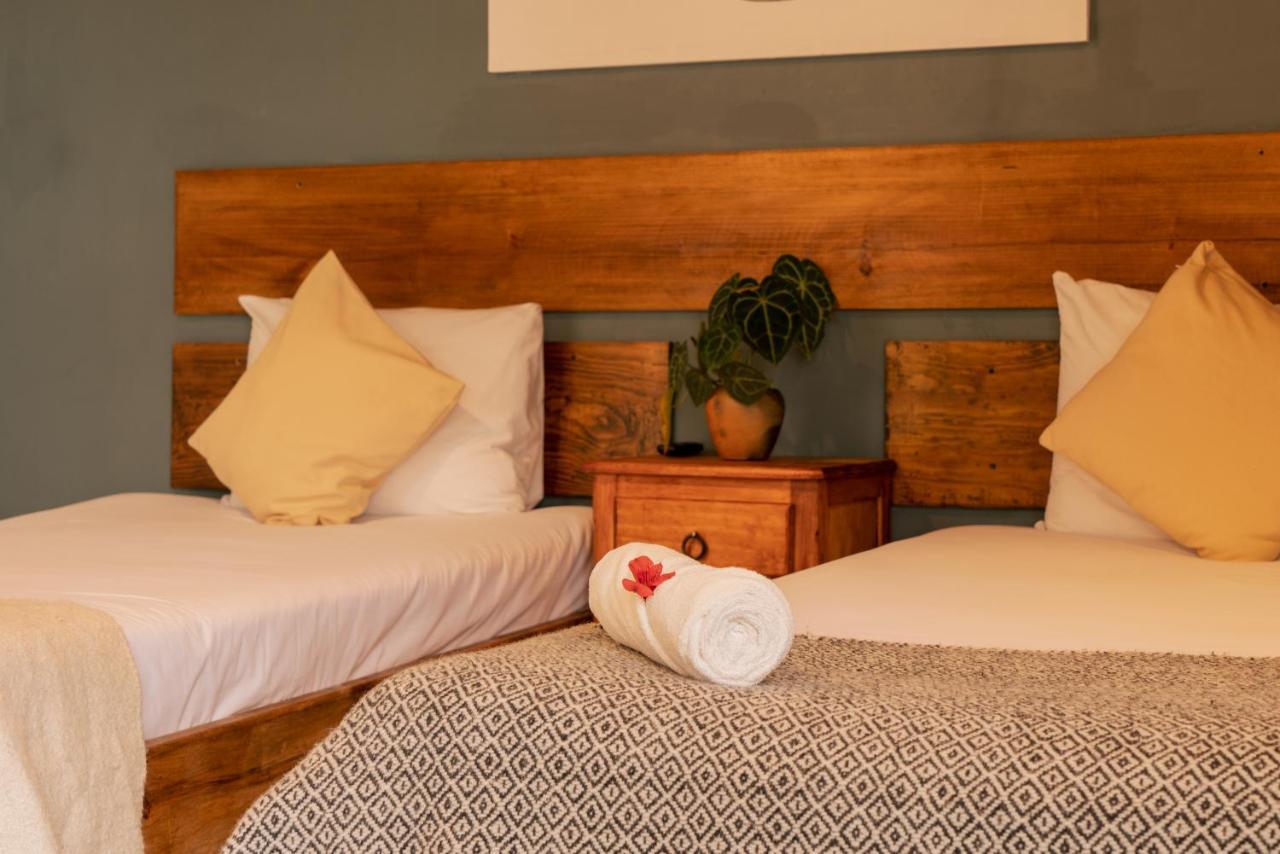 Hospedaje Boutique Paz Creativa San Cristóbal de Las Casas 外观 照片